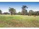 40 Yarran Road, Bargo NSW 2574
