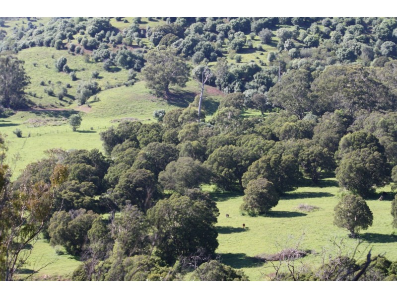 100 Eagles Road, Razorback NSW 2571