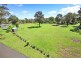 205 Nightingale Road, Pheasants Nest NSW 2574