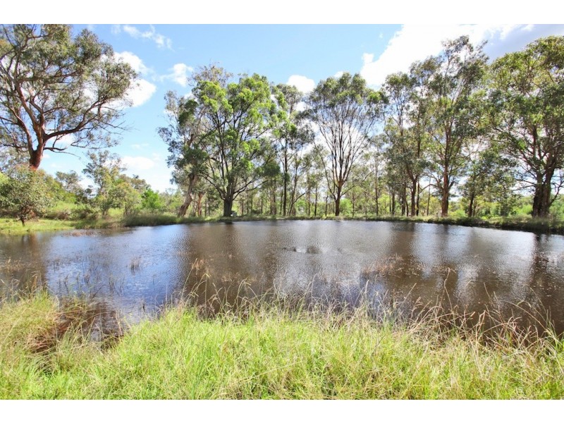 205 Nightingale Road, Pheasants Nest NSW 2574