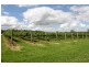 5 The Grange, Picton NSW 2571