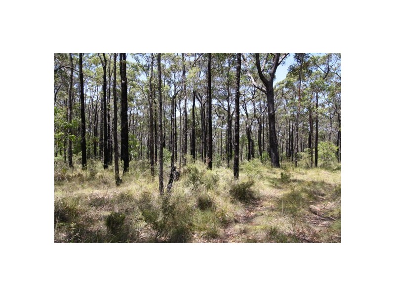 295 Wombat Road, Lakesland NSW 2572