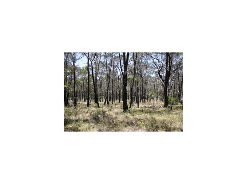 200 Wombat Road, Lakesland NSW 2572