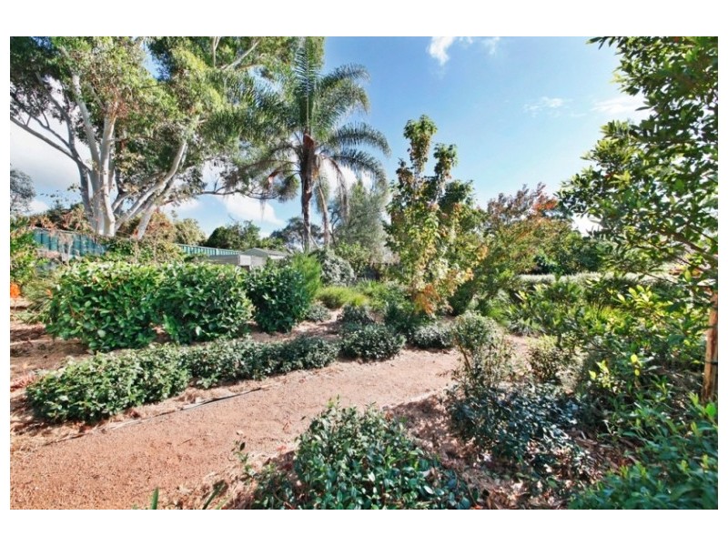 46 Coachwood Crescent, Picton NSW 2571