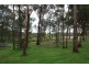70 Condell Park Road, Wilton NSW 2571