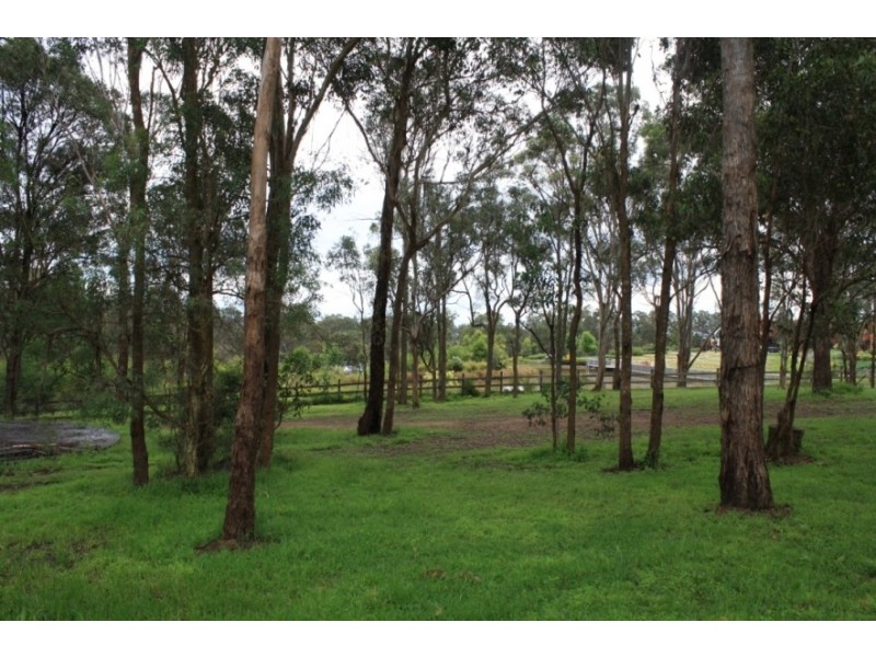 70 Condell Park Road, Wilton NSW 2571