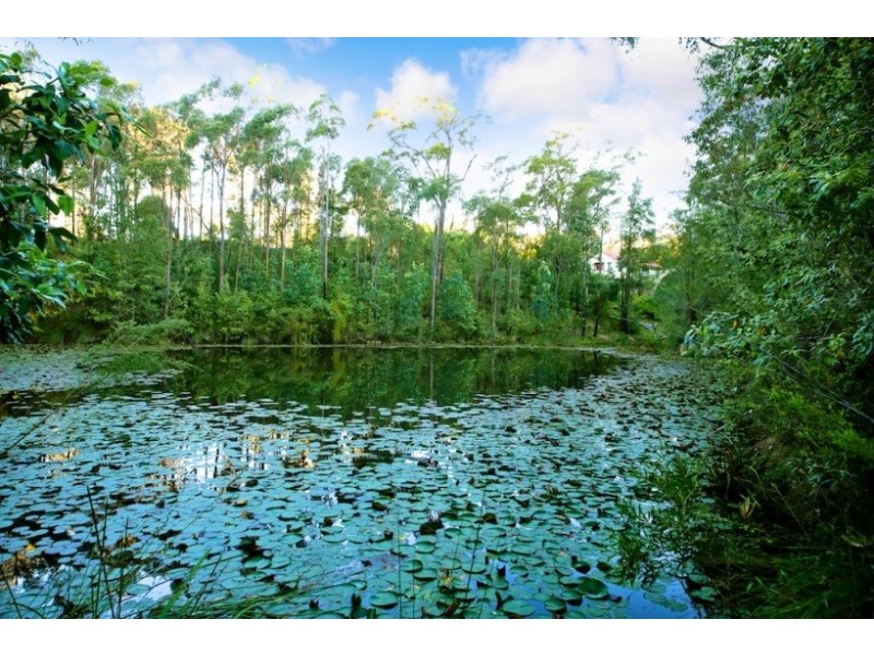 66 Skarrats Lane, Lakesland NSW 2572