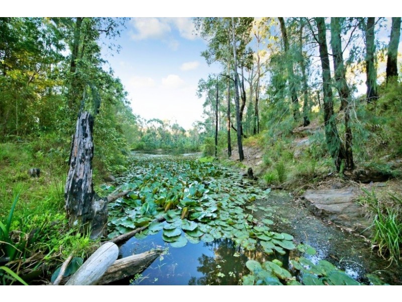 66 Skarrats Lane, Lakesland NSW 2572