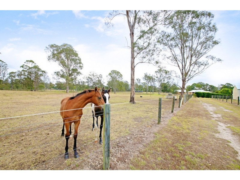 40 Mockingbird Road, Pheasants Nest NSW 2574