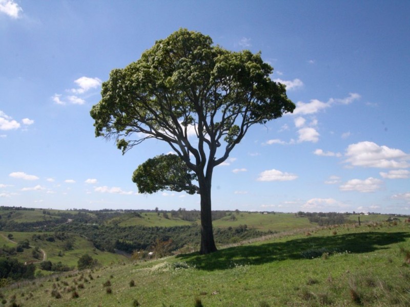 1400 Remembrance Drive, Picton NSW 2571