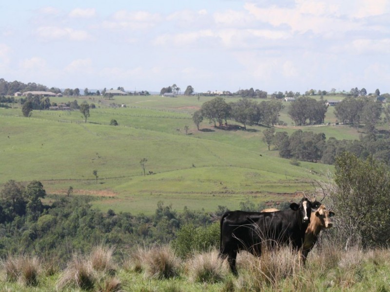 1400 Remembrance Drive, Picton NSW 2571