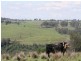 1400 Remembrance Drive, Razorback NSW 2571