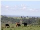 1400 Remembrance Drive, Razorback NSW 2571