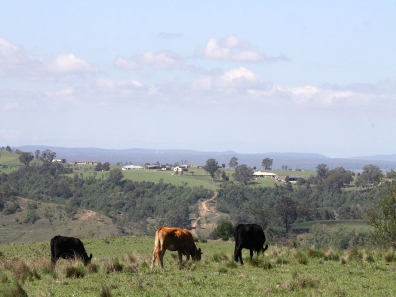 1400 Remembrance Drive, Razorback NSW 2571