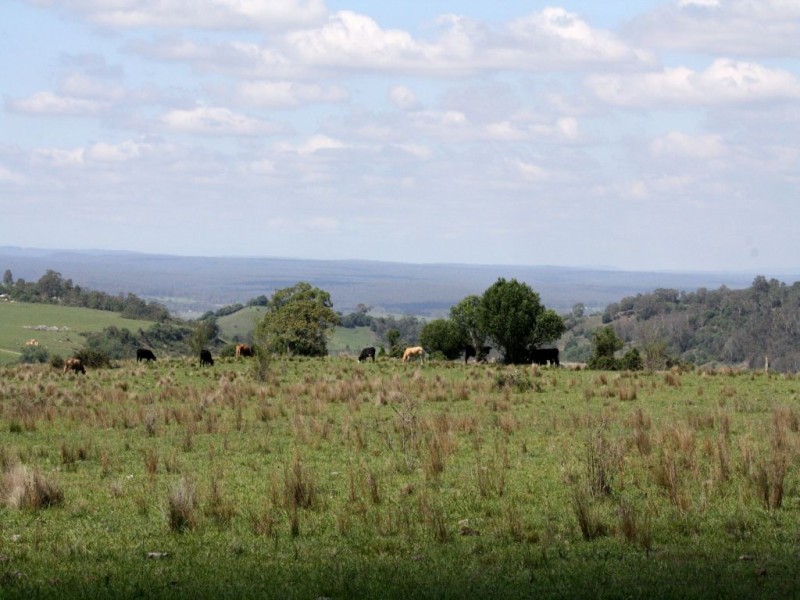 1400 Remembrance Drive, Razorback NSW 2571