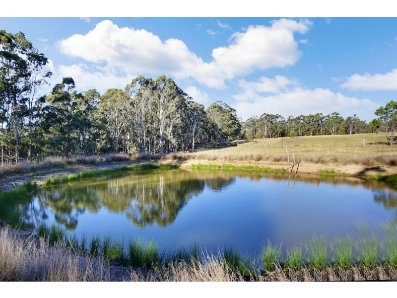 155 Donalds Range Road, Razorback NSW 2571