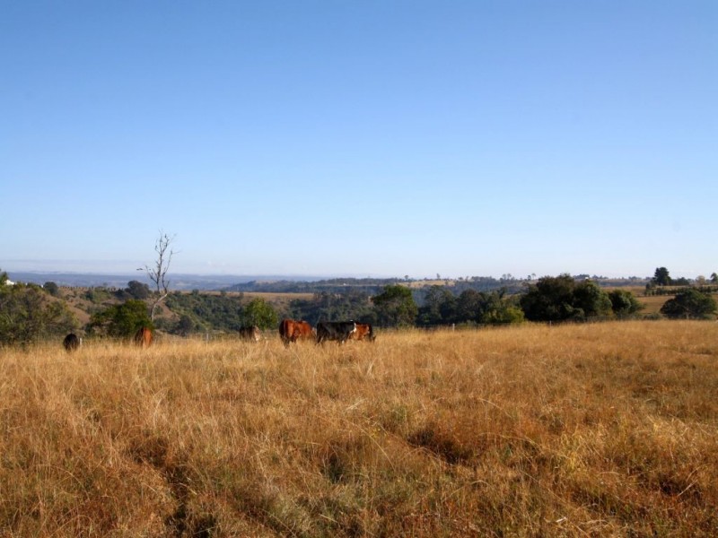 Lot 611, 380 Donalds Range Road, Razorback NSW 2571