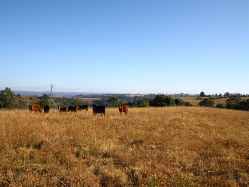 Lot 611, 380 Donalds Range Road, Razorback NSW 2571