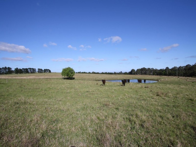 Lot210 Whipbird Road, Pheasants Nest NSW 2574