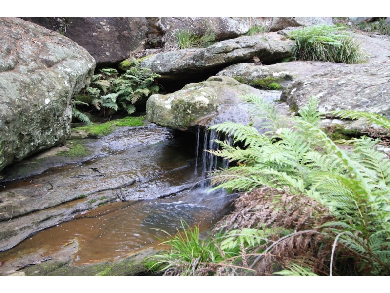110 Mockingbird Road, Pheasants Nest NSW 2574