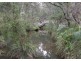 110 Mockingbird Road, Pheasants Nest NSW 2574