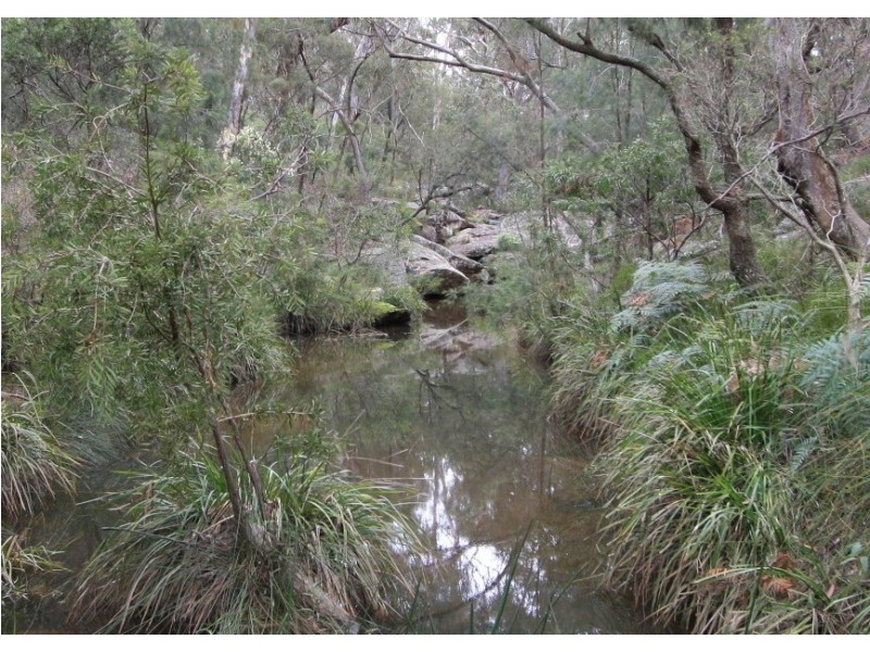 110 Mockingbird Road, Pheasants Nest NSW 2574