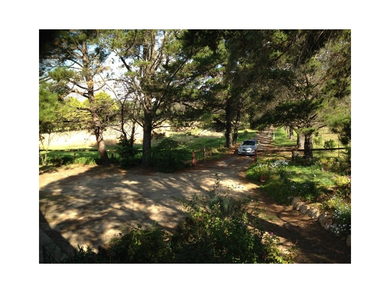 59 RITA STREET, Thirlmere NSW 2572