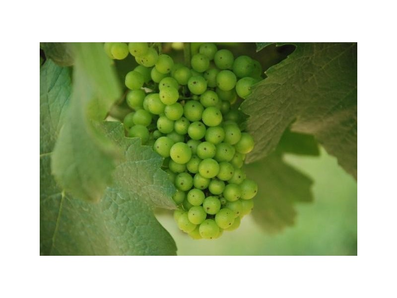 57, Lot 93 The Grange, Picton NSW 2571