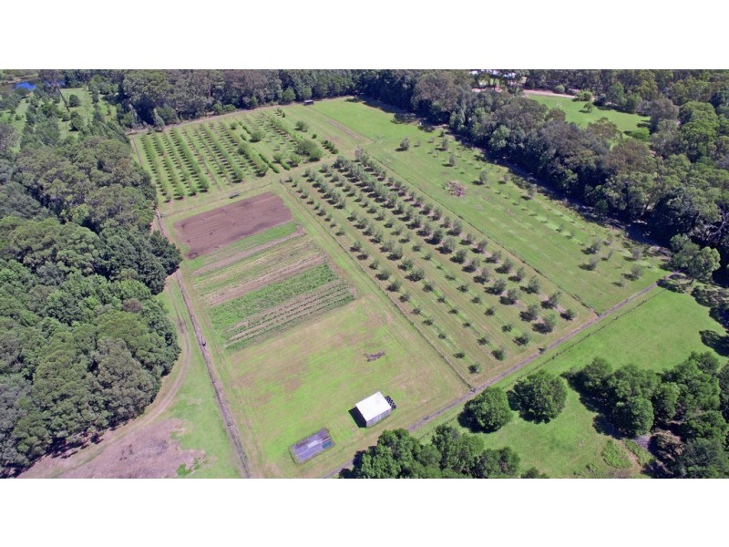 20 Nolan Road, Oakdale NSW 2570