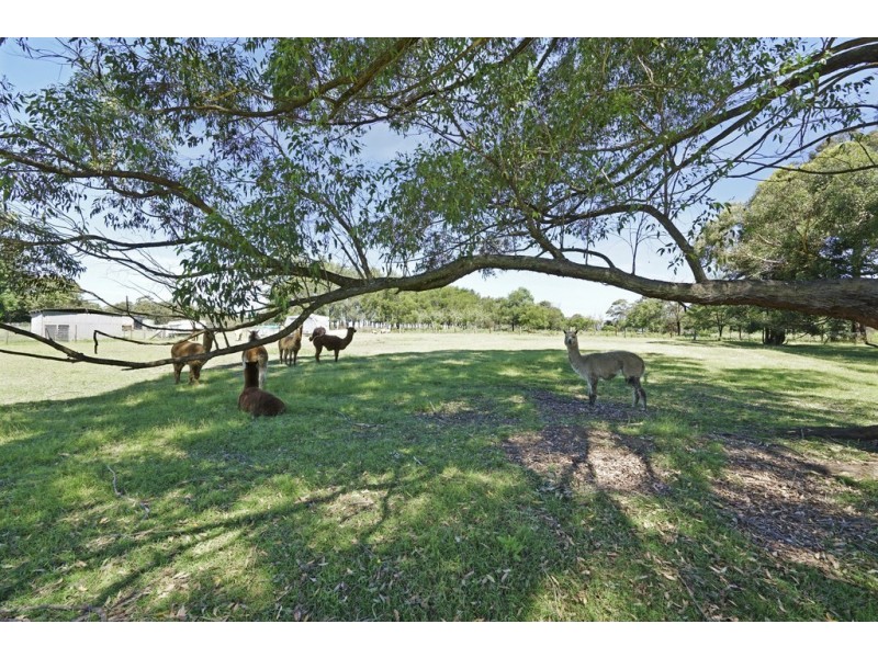 20 Nolan Road, Oakdale NSW 2570