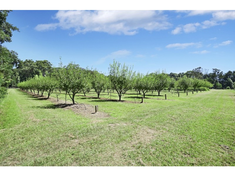 20 Nolan Road, Oakdale NSW 2570