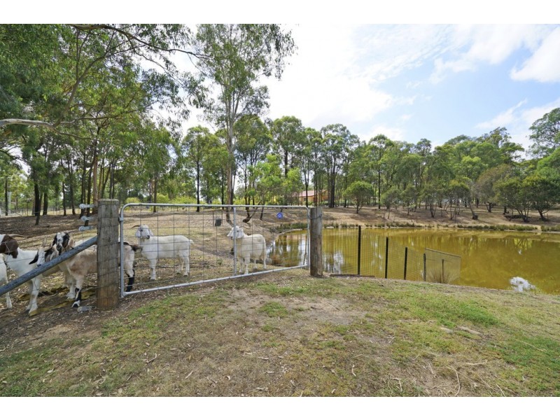 20 Esen Way, Pheasants Nest NSW 2574
