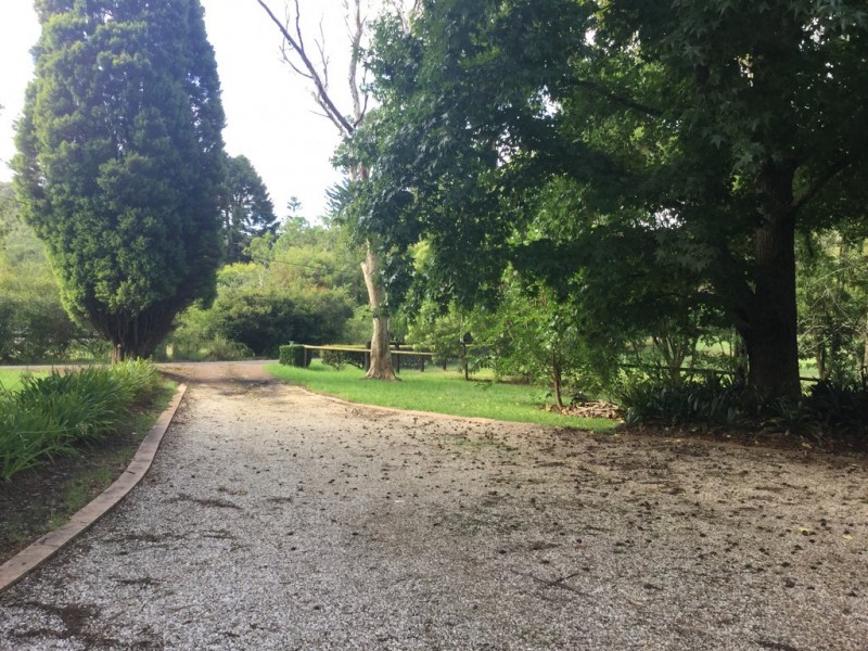 20 Fern Tree Lane, Palmdale NSW 2258