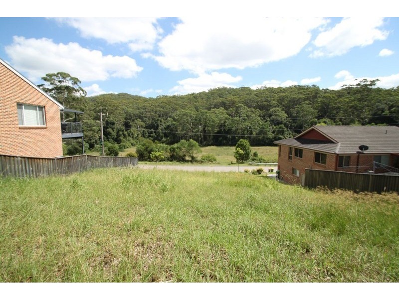 104 Chamberlain Road, Wyoming NSW 2250