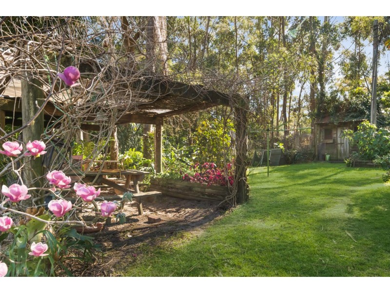 56 Atkinson Road, Mount Elliot NSW 2250