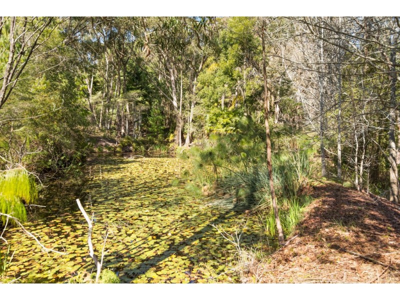 56 Atkinson Road, Mount Elliot NSW 2250