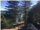 16 Albany Street, Point Frederick NSW 2250