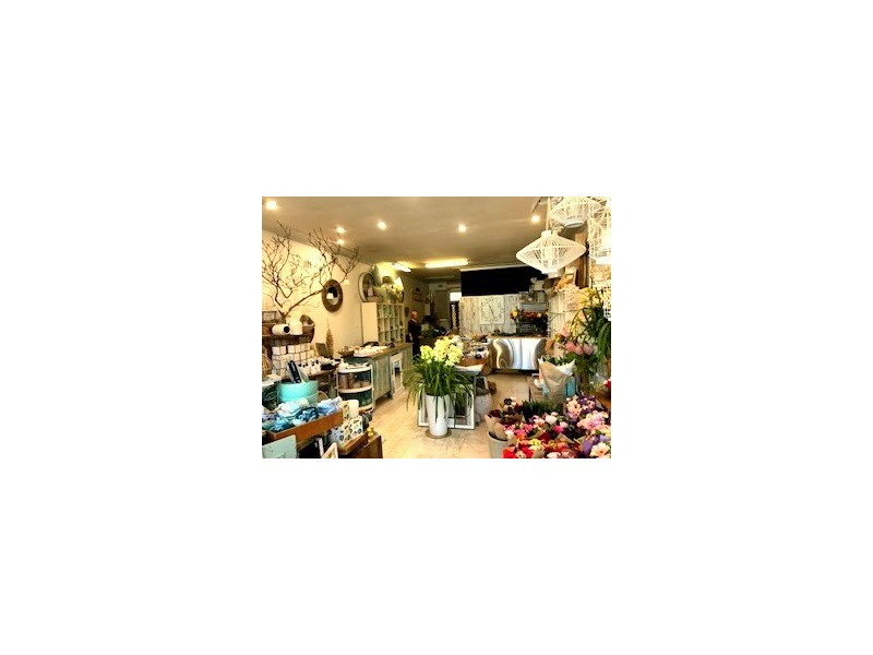 281 West Street, Umina Beach NSW 2257