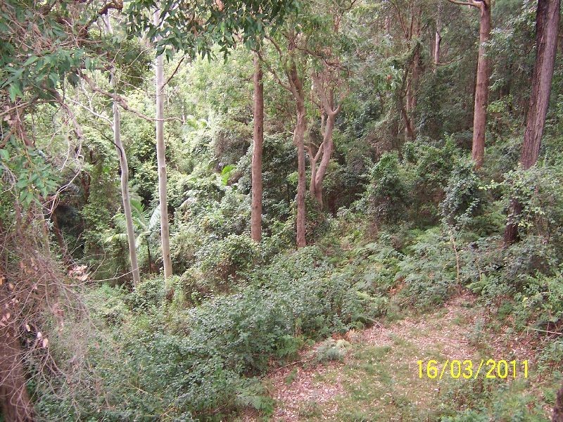 121 Clyde Road (aka RMB 5019 Clyde Road), Holgate NSW 2250