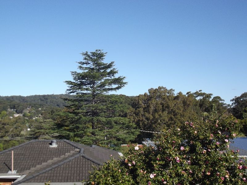 4 Tingira Cresent, Wyoming NSW 2250