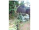 11 Coulter Road, Wyoming NSW 2250