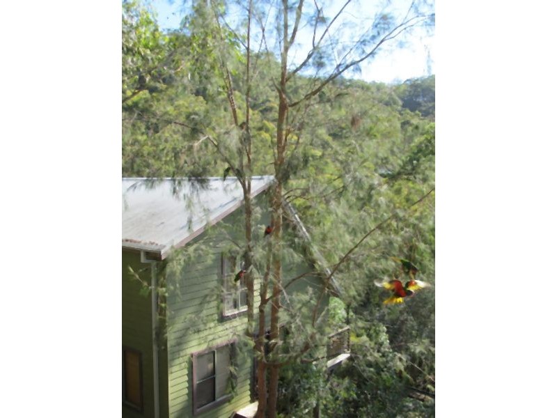 4  Tottenham Place, North Gosford NSW 2250