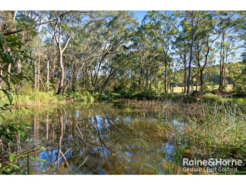 134 Hallards Road, Central Mangrove NSW 2250