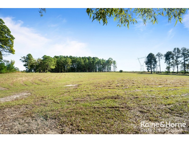 134 Hallards Road, Central Mangrove NSW 2250