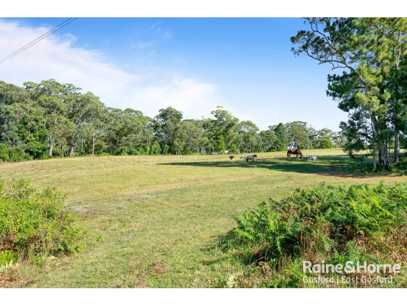 134 Hallards Road, Central Mangrove NSW 2250