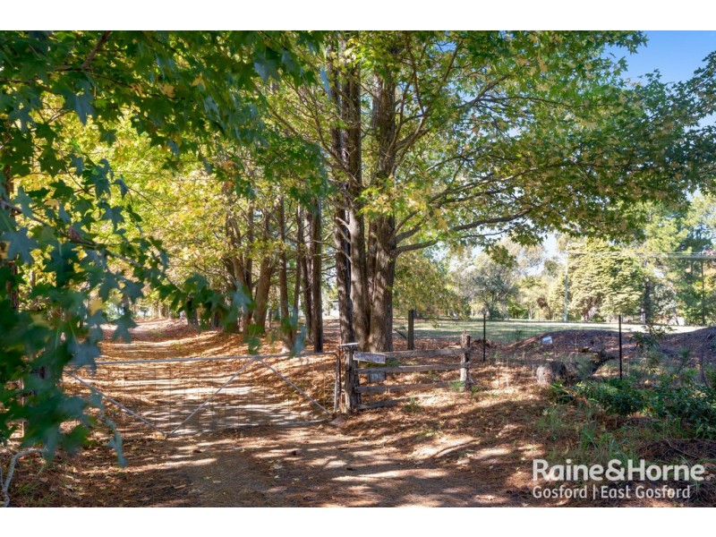 134 Hallards Road, Central Mangrove NSW 2250