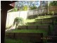 1c Marangani Av, North Gosford NSW 2250