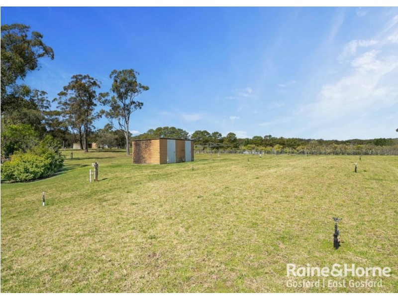 Central Mangrove NSW 2250