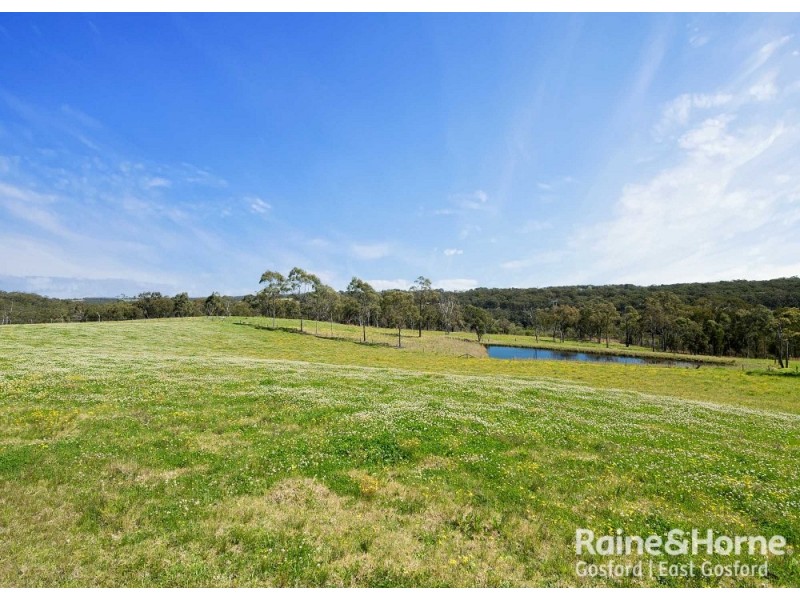 Central Mangrove NSW 2250