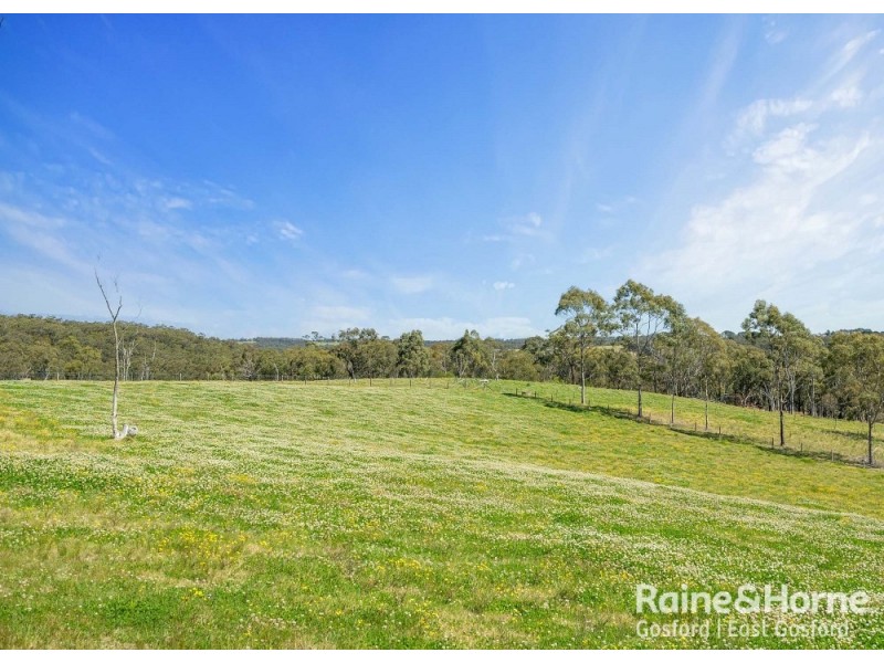 Central Mangrove NSW 2250